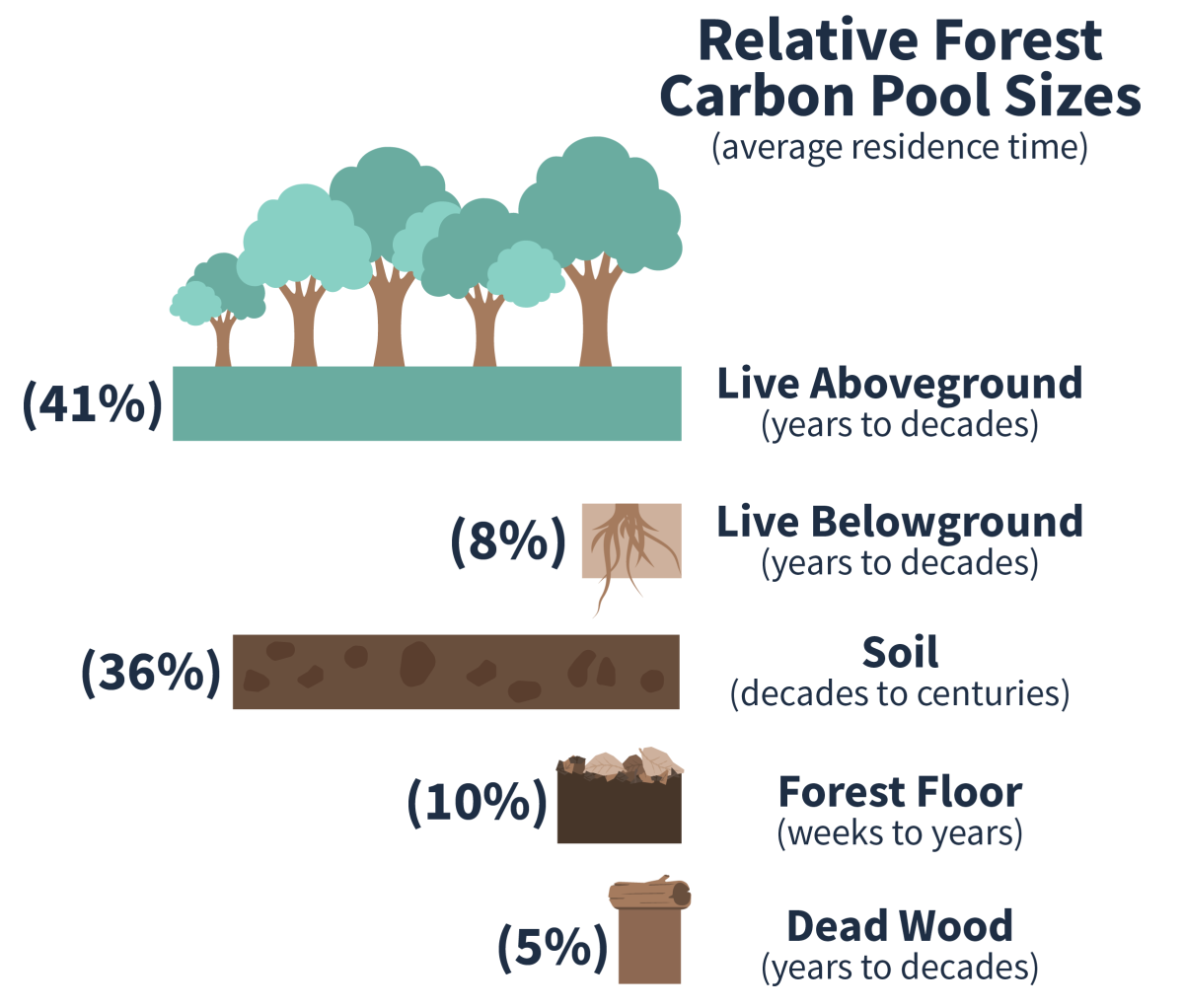 Illustration of relative forest carbon pool sizes and average residence time. Live aboveground carbon is 34% and resides for years to decades. Live belowground carbon is 8% and resides for years to decades. Soil is 36% and resides for decades to centuries. Forest Floor is 10% and resides weeks to years. Dead wood is 5% and resides years to decades.
